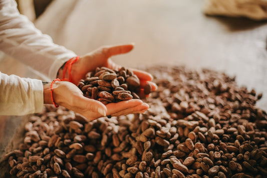 Hooandja video: Mis on tseremoniaalne kakao?