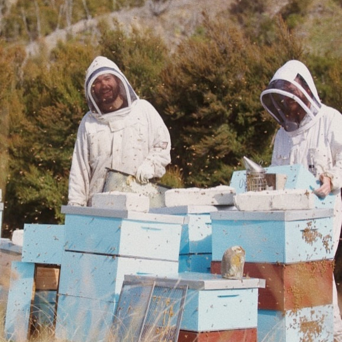 Parem kui šampanja - Manuka Jun Blanc