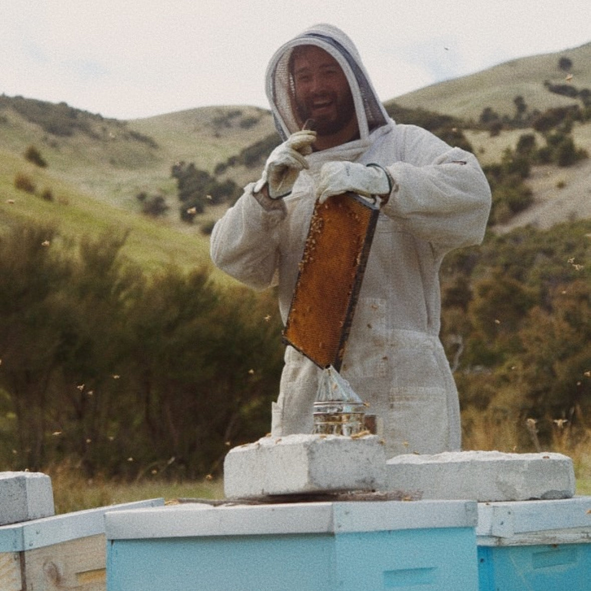 Manuka Mesi MGO 100+